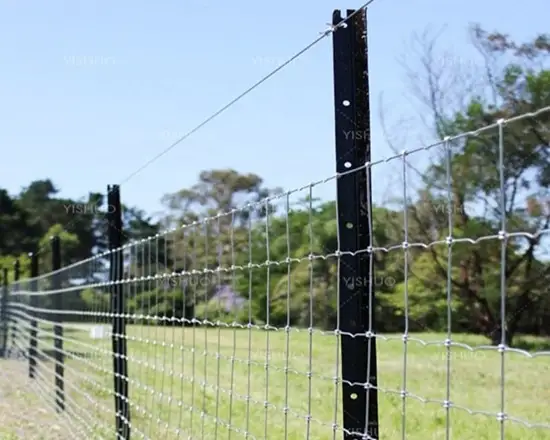 Metal T post ideal for farm and garden fences.